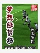《梦想绿茵场》