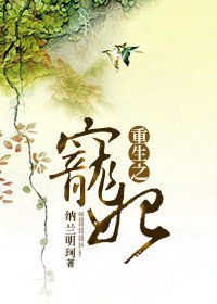 《重生之宠妃》