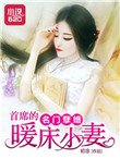 《名門孽婚:首席的暖床小妻》