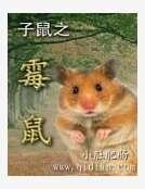 《子鼠之黴鼠》