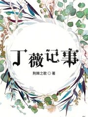 《丁薇記事》