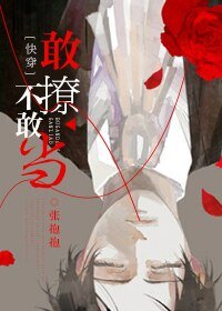 《敢撩不敢当》