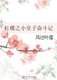 《(紅樓同人)紅樓之小皇子奮鬥記》
