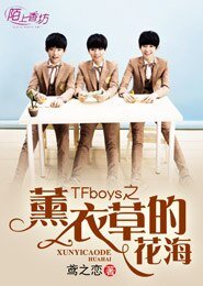 《(TFboys同人)TFboys之薰衣草的花海》