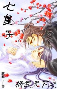 《禍亂天下之七皇子》