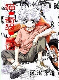 《(猎人同人)猫·奇犽·童话》