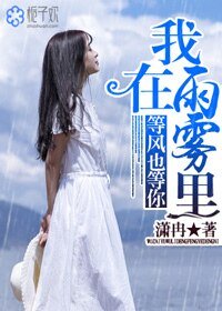 《我在雨雾里,等风也等你》