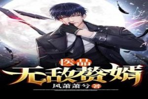 《醫品無敵贅婿》