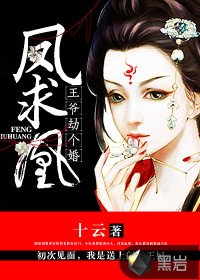 鳳求凰:王爺劫個婚