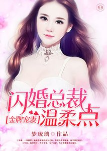 《金牌宠妻:闪婚总裁温柔点》