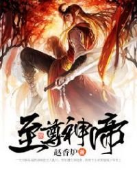 《至尊龙帝》