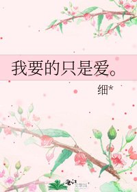 《我要的只是爱。》