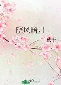 晓风暗月
