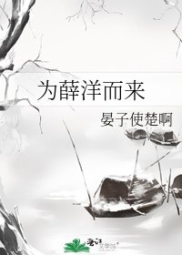 《为薛洋而来》