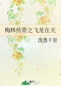《梅林传奇之飞龙在天》