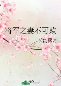 將軍之妻不可欺