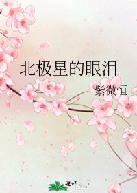 《北极星的眼泪》