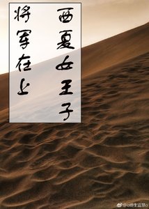 《将军在上 西夏女王子》