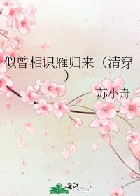 《似曾相识雁归来(清穿)》