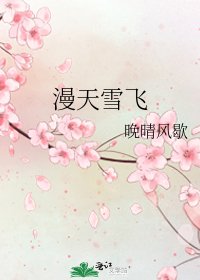 《漫天雪飛》