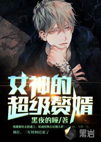 《女神的超級贅婿》