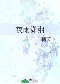 《夜雨潇湘》