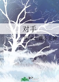 《对手》