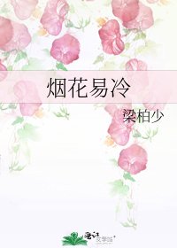 《煙花易冷》