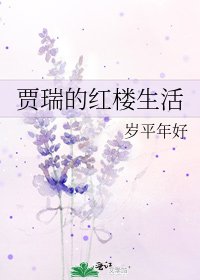 《贾瑞的红楼生活》