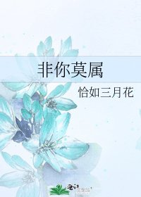 《非你莫属》
