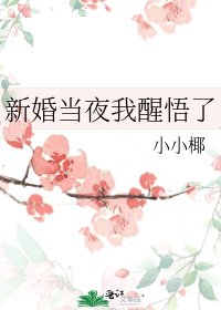 《新婚当夜我醒悟了》