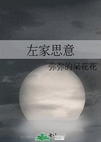 左家思意