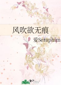 《风吹欲无痕》