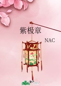 《紫极章》