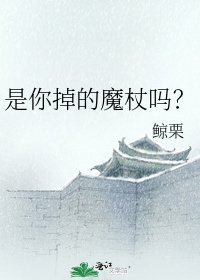 《是你掉的魔杖吗?》