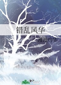 《错乱风华》