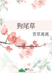 狗尾草