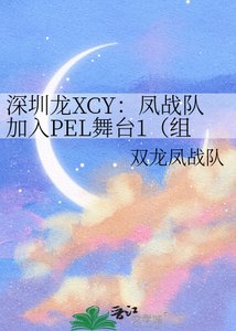 《深圳龍XCY:鳳戰隊加入PEL舞臺1(組鍵戰隊階段與參加聯賽階段)》