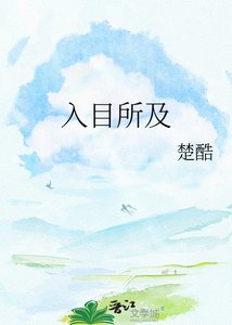 入目所及