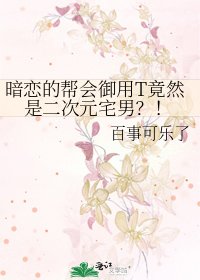 《暗恋的帮会御用T竟然是二次元宅男?!》