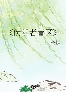 《伪善者盲区》