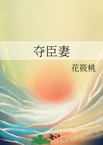 《夺臣妻》
