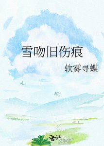 雪问旧伤痕