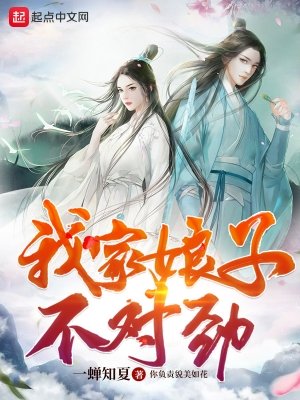 《我家娘子,不对劲》