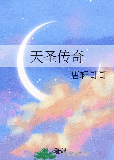 天圣传奇
