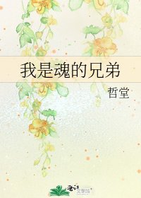 《我是魂的兄弟》