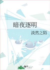 《暗夜逐明》