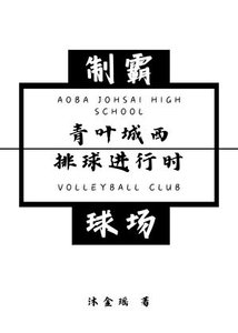《(綜漫同人)青葉城西排球進行時》