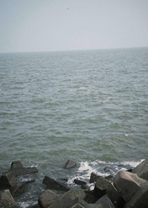 《冰河风》
