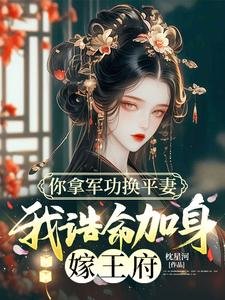 《你拿军功换平妻,我诰命加身嫁王府》